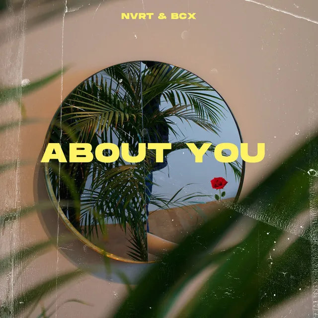 Pochette de About You, NVRT, BCX